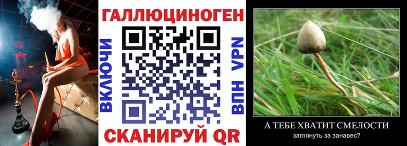 ссылка на мегу вход  Дмитриев  Галлюциногенные грибы Psilocybine cubensis 